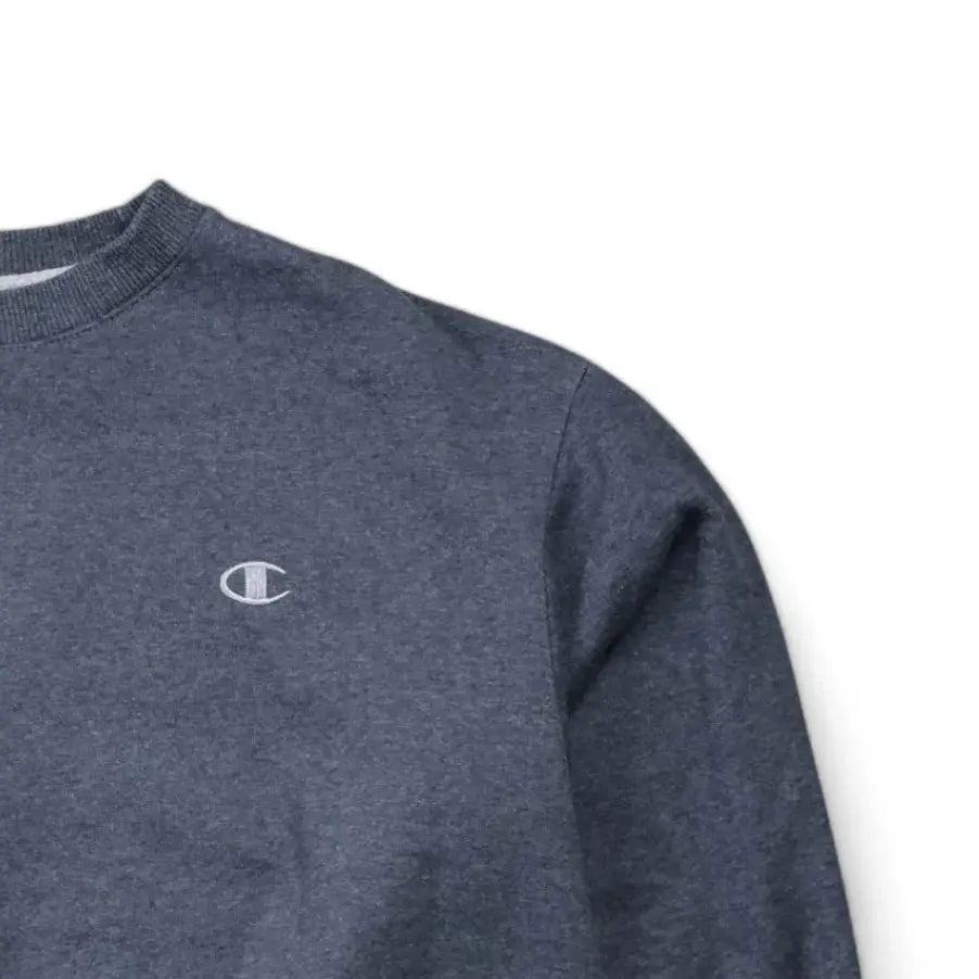 Champion Sweatshirt (L)